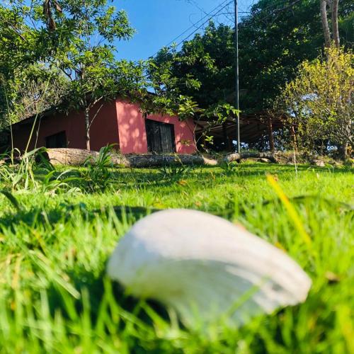 Cabinas Alemar – Photos 2
