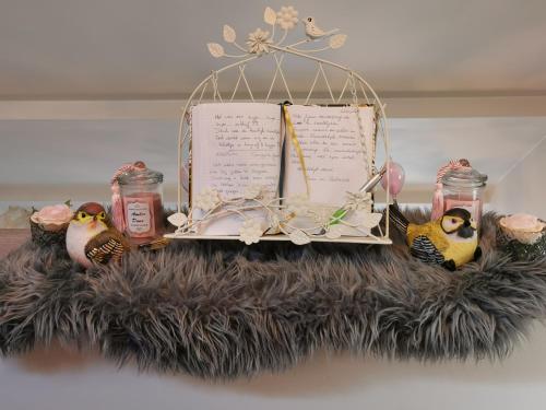 a shelf with two birds and an open book at B&B De Watering in Lommel