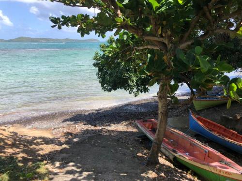 two boats on a beach next to the water at Bungalow Alizé in Le Robert