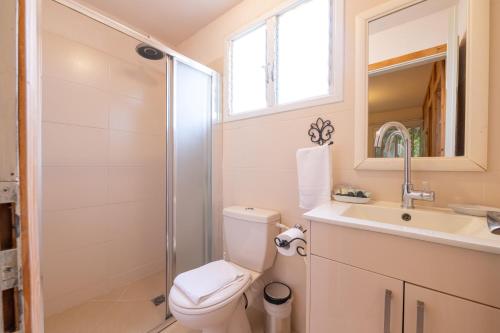 a bathroom with a toilet and a sink and a shower at רגע ערבה in ‘En Yahav