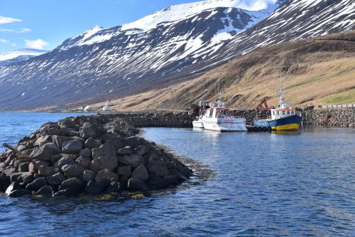 two boats docked in a body of water with a mountain at Sólbrekka Holiday Homes in Mjóifjörður