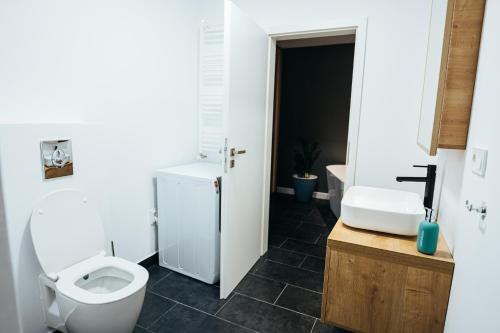 a bathroom with a toilet and a sink at Thome Arena Residence in Cluj-Napoca