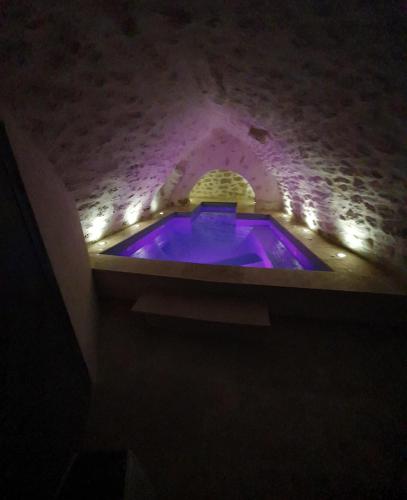 a purple hot tub in a brick room with lights at LE SPA INSOLITE DE MALAUCENE in Malaucène