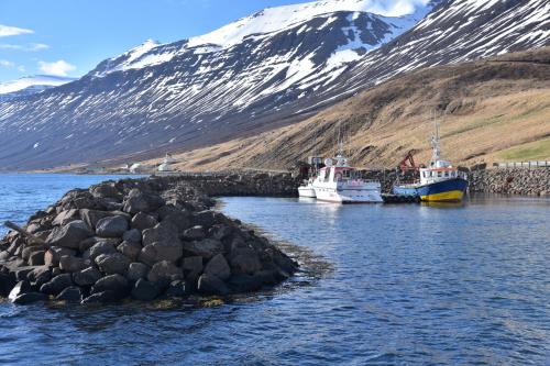 two boats docked in a body of water with a mountain at Sólbrekka Guesthouse in Mjóifjörður