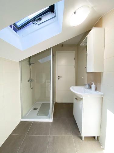 a bathroom with a shower and a sink and a skylight at Luminus Apartments in Srima
