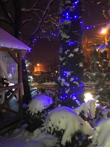 a christmas tree covered in snow with blue lights at Karpatska Mria in Yaremche
