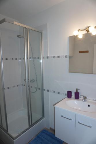 La salle de bains est pourvue d'une douche et d'un lavabo. dans l'établissement Domaine "Les Hochets, à Vresse-sur-Semois
