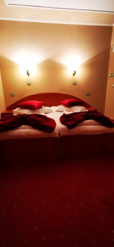 a bedroom with a bed with red sheets and red pillows at HOTEL ALL TIMES in Timisul de Jos