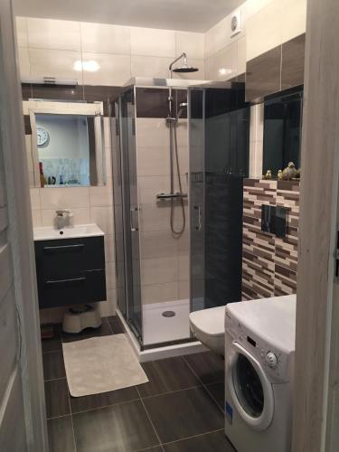 a bathroom with a shower and a toilet and a sink at Apartament Osiemnastka, nad morzem, najwygodniejszy dla par, jednopokojowy typu studio in Darłowo