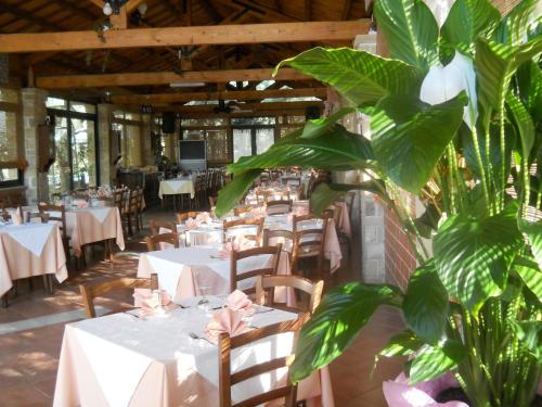 ein Restaurant mit Tischen und Stühlen und einer Pflanze in der Unterkunft Su Barroccu in Riola Sardo