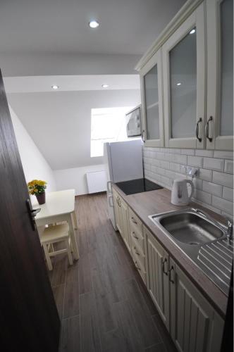 a kitchen with a sink and a counter top at Apartamenty Sowiogórskie in Pieszyce