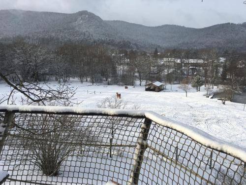 Afbeelding uit fotogalerij van Gaïa - Les Cabanes du Chêne Rouvre in Saint Die