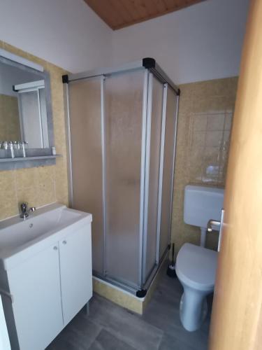 a bathroom with a shower and a toilet and a sink at Haus Bergblick am Grünen See in Oberort