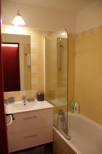 une salle de bain avec un lavabo, une douche et une baignoire dans l'établissement Beau deux pièces Isola 2000, à Isola 2000