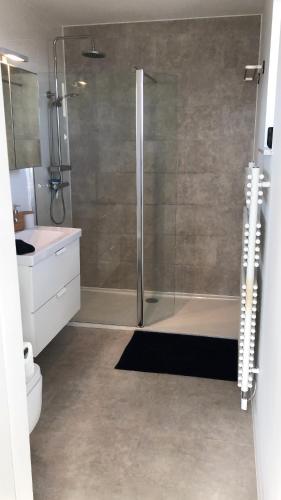 een badkamer met een douche, een toilet en een wastafel bij Gezellig 1 slaapkamer appartement nabij het stadscentrum in Hasselt