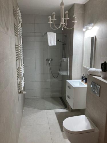 uma casa de banho com um chuveiro, um WC e um lavatório. em Apartament "Hotelik" em Szklarska Poręba