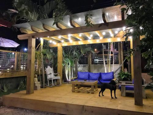 a dog standing on a wooden deck with a pergola at Pousada Cacau in Praia do Rosa
