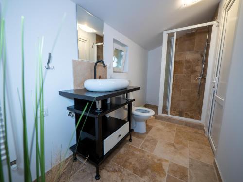a bathroom with a sink and a toilet at ȘURA LU' PĂTRU in Vulcan