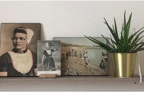 a shelf with two pictures and a potted plant on it at B&B Zeeuws genoegen in Vlissingen