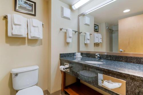 La salle de bains est pourvue d'un lavabo, de toilettes et d'un miroir. dans l'établissement Comfort Inn Mechanicsburg - Harrisburg South, à Mechanicsburg