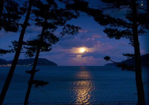 a full moon over the water with trees at Hamabeno Ryouriyado Houraikan in Kamaishi