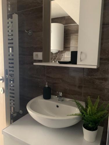 ein Badezimmer mit einem Waschbecken, einem Spiegel und einer Pflanze in der Unterkunft VIP House 1 in Vrnjačka Banja