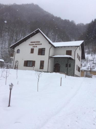 a building in the snow in a field at Pensiunea Valea Pinului in Rau Sadului
