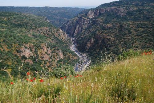 Φυσικό τοπίο κοντά σε αυτή η εξοχική κατοικία