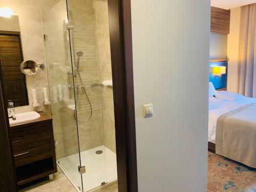 ein Bad mit einer Dusche, einem Waschbecken und einem Bett in der Unterkunft Barack Thermal Hotel and Spa in Tiszakécske