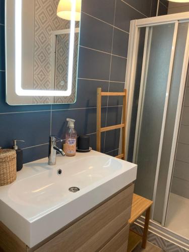 a bathroom with a white sink and a mirror at L'escale Granvillaise in Granville