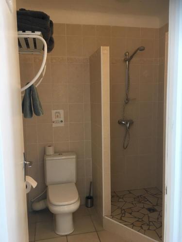 a bathroom with a toilet and a shower at chambre d'hôtes Villa Côte Vermeille in Argelès-sur-Mer