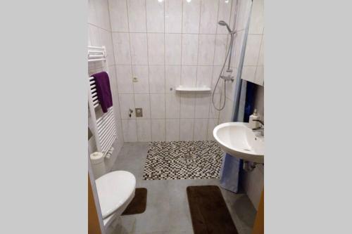 a bathroom with a shower and a toilet and a sink at Ferienwohnung Dickes in Brandenburg an der Havel