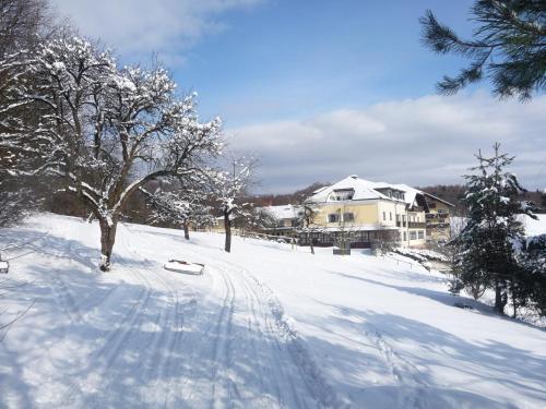 L'établissement Wienerwaldhof Rieger en hiver