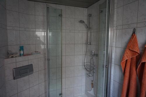 La salle de bains est pourvue d'une douche avec une porte en verre. dans l'établissement Fewo-Sossna, à Brandebourg-sur-la-Havel