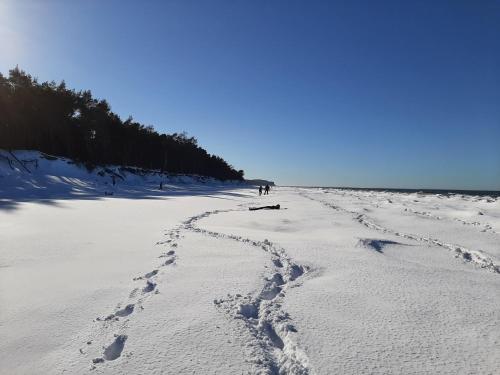 a group of people walking on a beach in the snow at VILLA DANUTA- WISELKA, direct at National Park, big garden, 4 bedrooms, private SAUNA in Wisełka