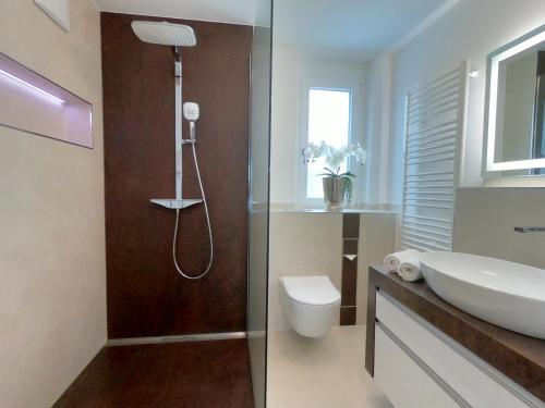 a bathroom with a shower and a toilet and a sink at Antike & Modern Deluxe 2 mit Terrasse in Leipheim
