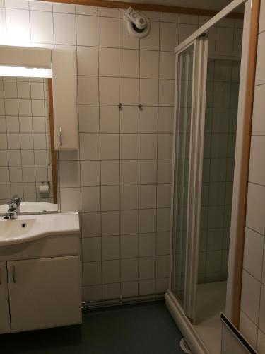 a bathroom with a sink and a shower at Lapphaugen Turiststasjon in Tennevoll