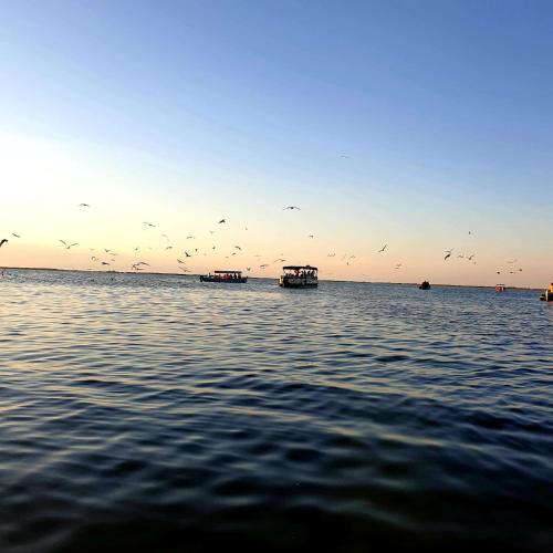 Gambar di galeri bagi Delta Palace di Sulina