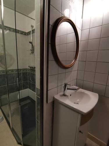 une salle de bain avec un lavabo, un miroir et une douche dans l'établissement Chez Gilles Math, à Saint-Martin-de-Brômes