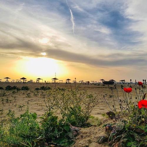 a sunset on a beach with umbrellas and flowers at A 3-floor building with 4 bedroom near beach in Fier
