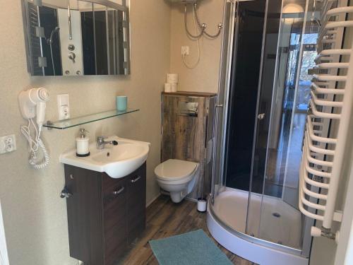 a bathroom with a sink and a toilet and a shower at White Apartment House in Bielsko-Biała