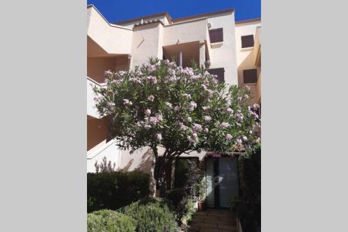 a flowering tree in front of a building at Appartement calme Entre Terre et Mer proche plage in Fleury