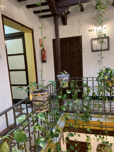 Pension Lisdos