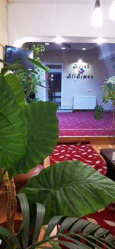 a room with a large green plant in front of a waiting room at HOTEL ALL TIMES in Timisul de Jos