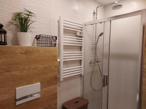 罗威Apartament Sun&Fun - Rowy的带淋浴和卫生间的浴室
