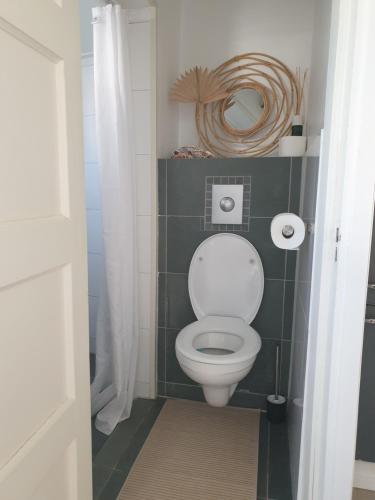 a bathroom with a toilet with a mirror at Little Lodge Noordwijk aan Zee in Noordwijk