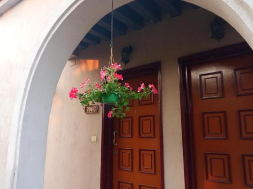 a potted plant hanging next to a door at Gardenia 29 in Raichak