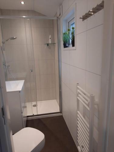 a bathroom with a shower and a toilet and a sink at De Woudtplaats in Wolfheze