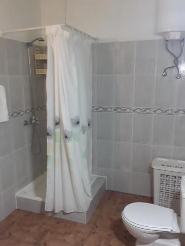a bathroom with a shower curtain and a toilet at Casa Teresa in El Paso