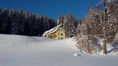 a house on a snow covered hill with trees at Pension Berghof in Breitenbrunn